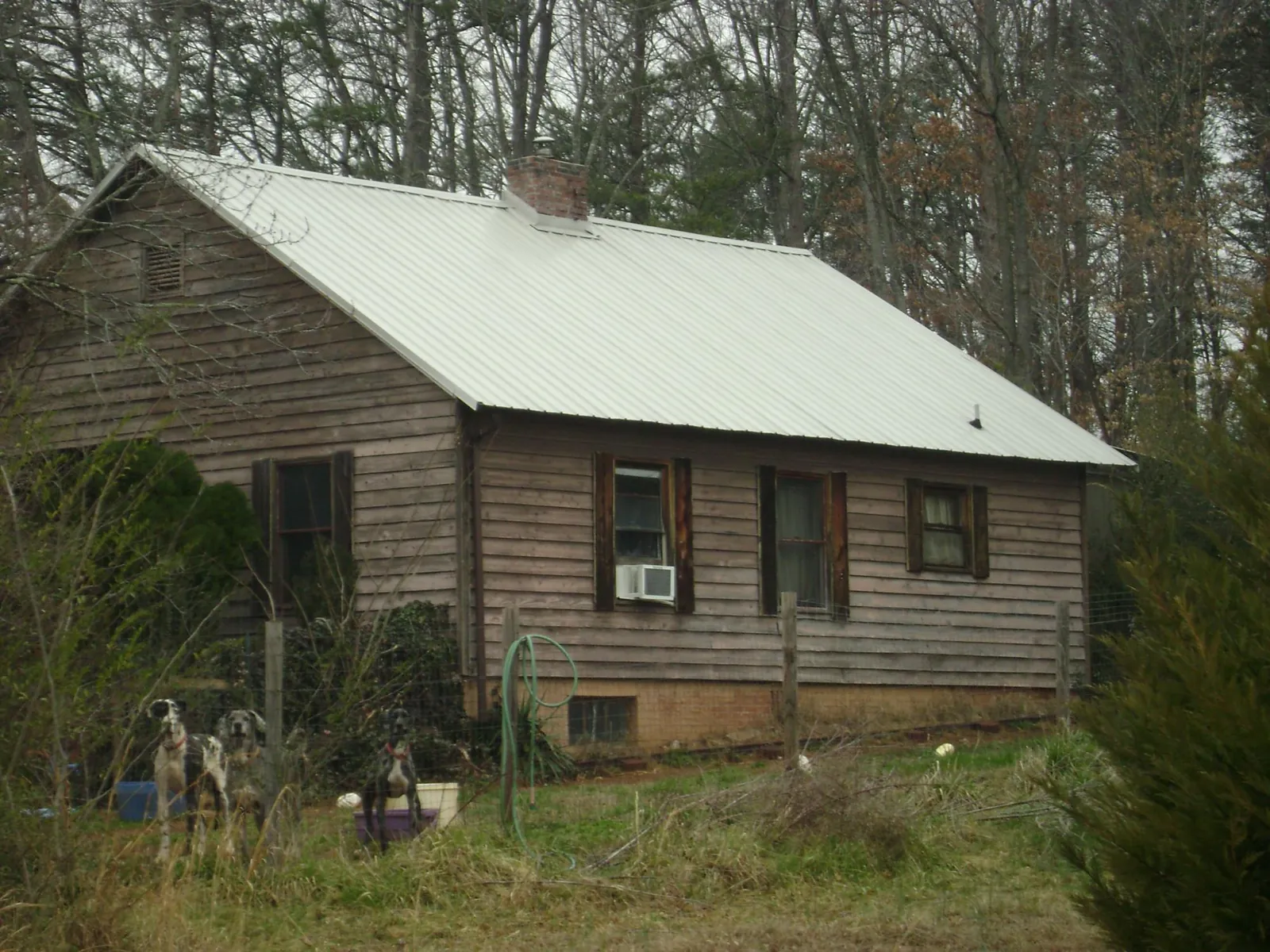 White metal roof on an old wood sided farmhouse, from a Asphalt Shingle Roof Repair job in East Longmeadow